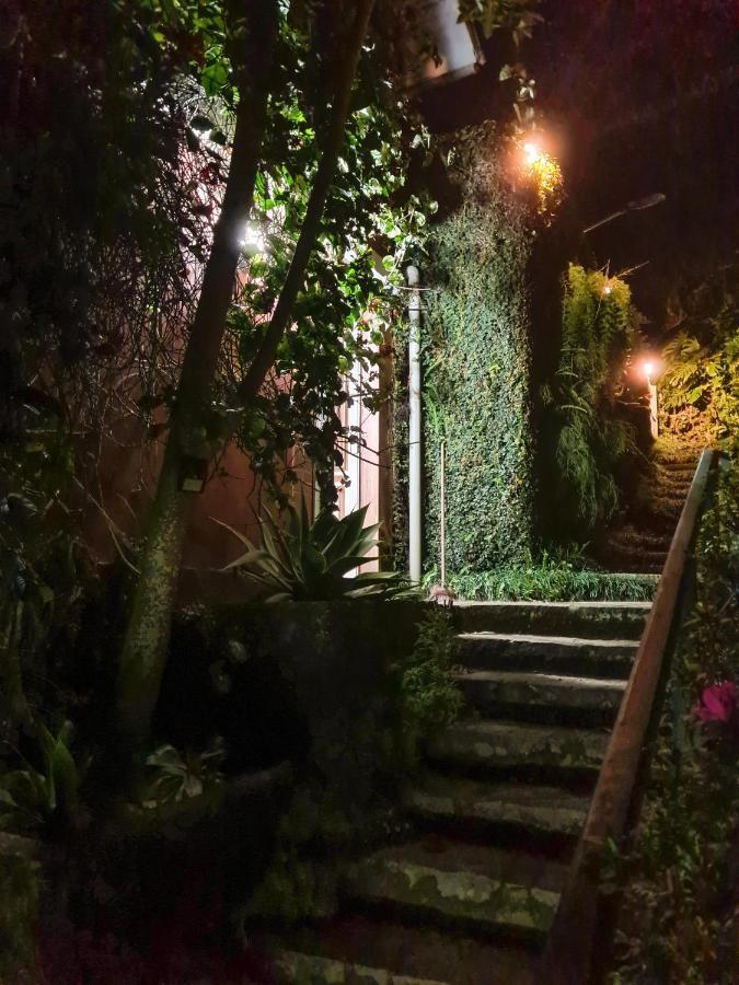 Villa Violeta Petropolis  Exterior photo