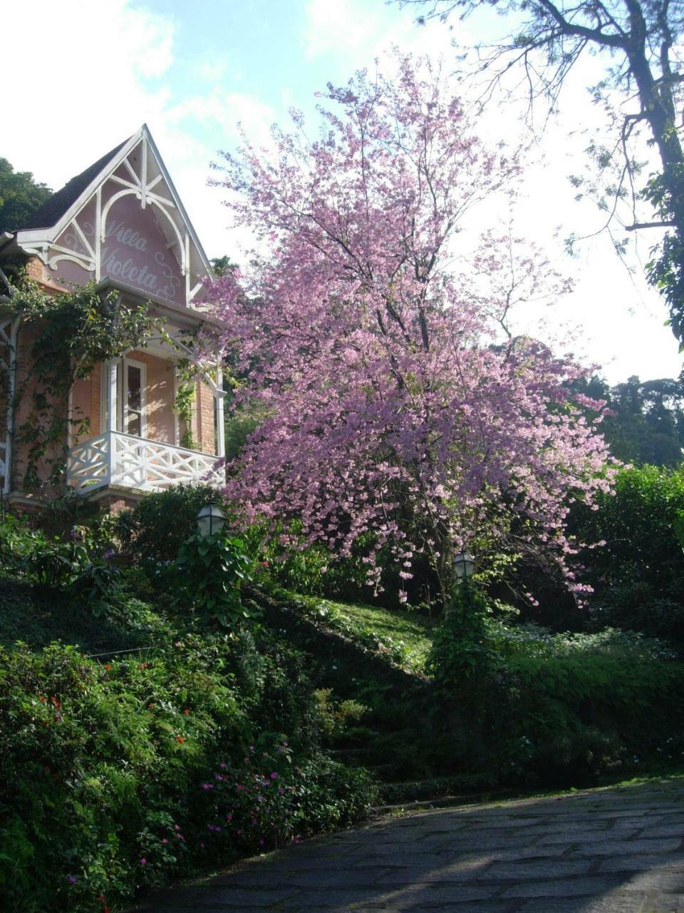 Villa Violeta Petropolis  Exterior photo